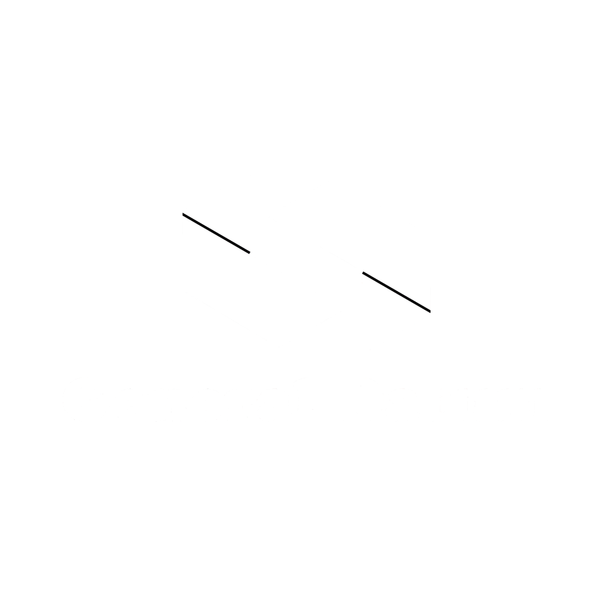 General Datum White Logo with Black highlighted ribbon lines